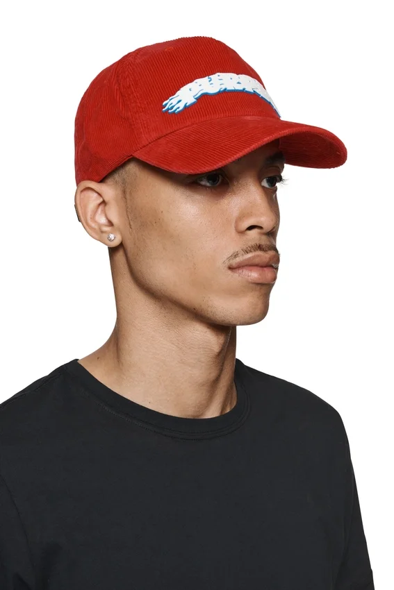 Purple Flames Logo Corduroy Hat